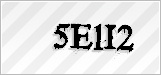 CAPTCHA security code
