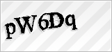 CAPTCHA security code