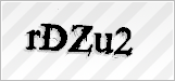 CAPTCHA security code