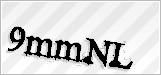 CAPTCHA security code